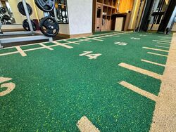 College Green (D11), Detached #497622311